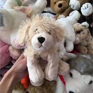 Webkinz and TY Beanie Baby lot